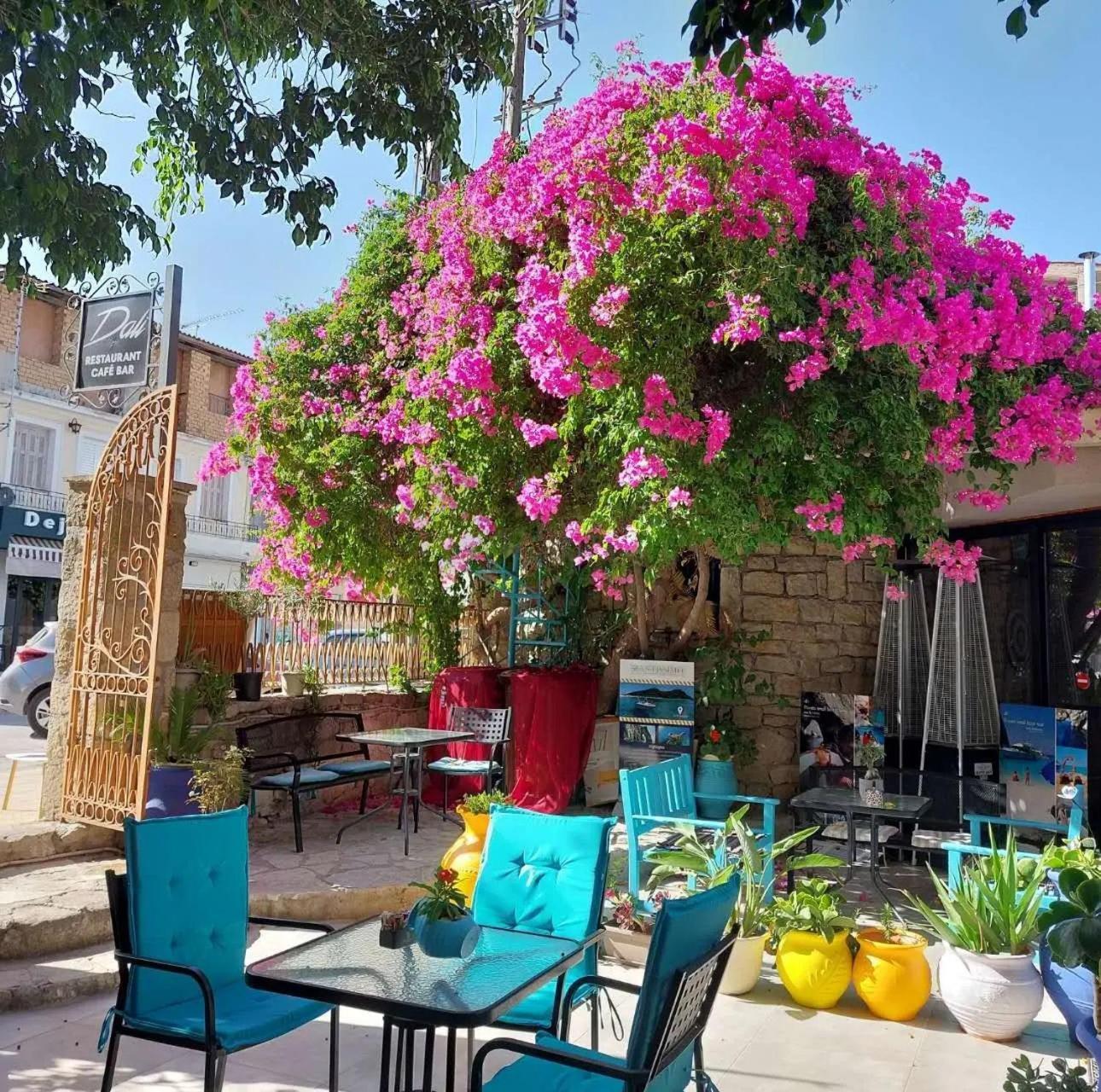 Amina Apartments Zakynthos Exteriér fotografie